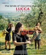 Colline lucchesi puccinilands