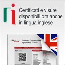 banner visure in inglese